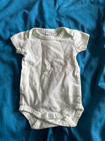 bodi couleur menthe 56 cm