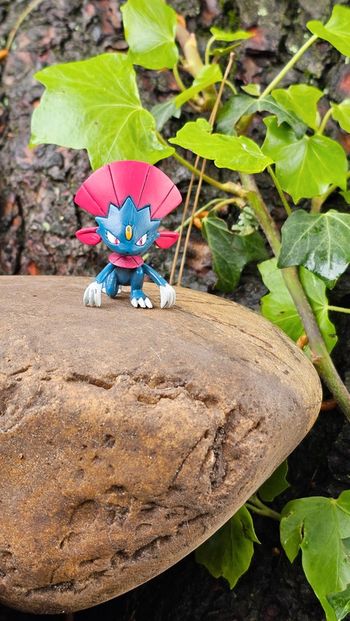 Super figurine Pokemon Nintendo Dimoret