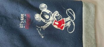 Gilet zippé Disney 36 mois