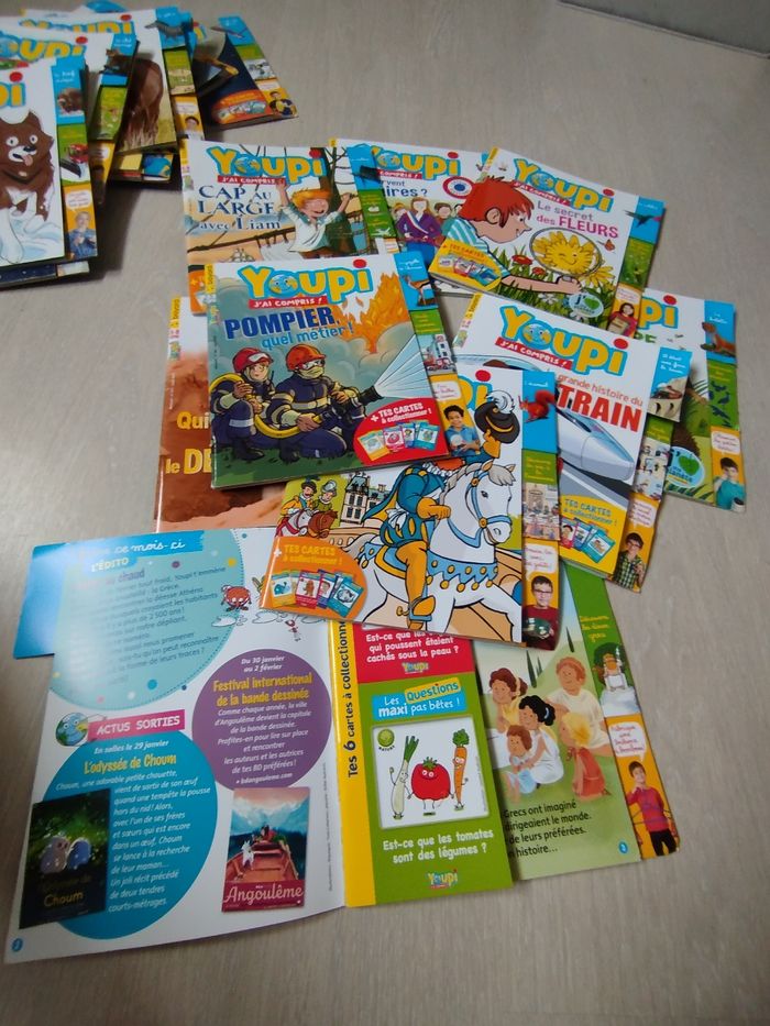 Livres youpi j'ai compris - photo numéro 3