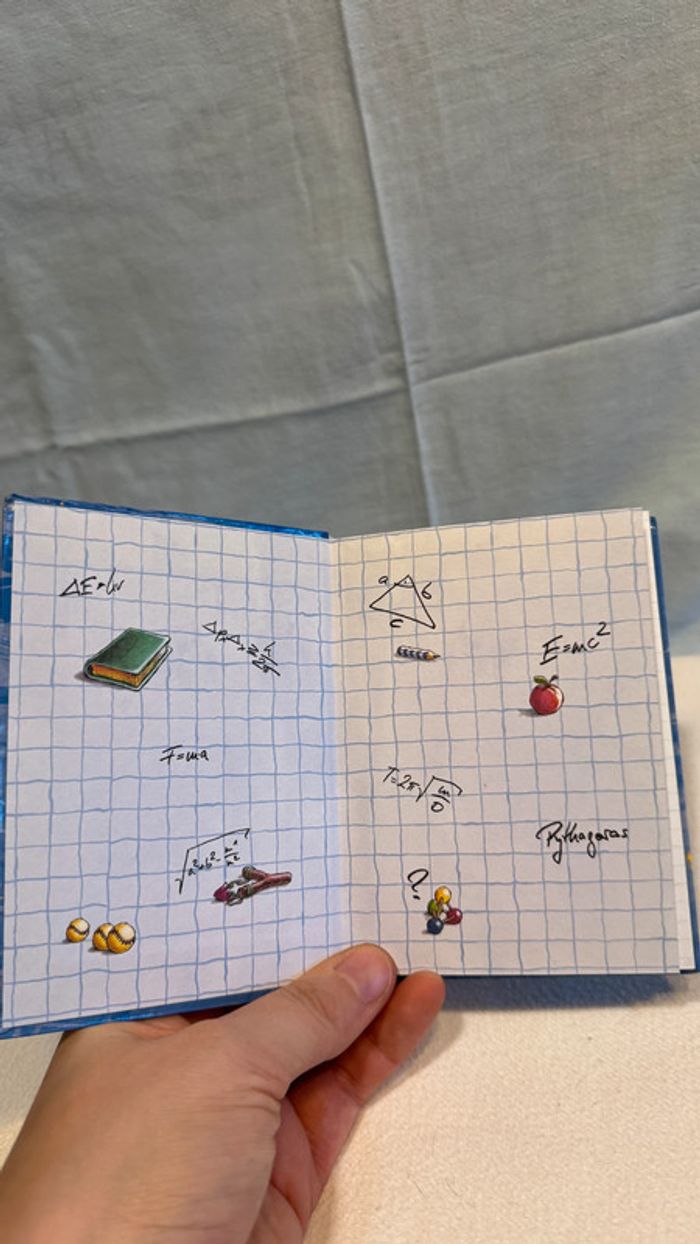 Carnet Diddl (premières pages ont été retirées) - photo numéro 7