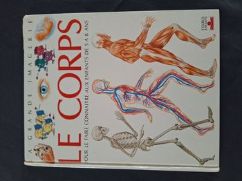 Livre enfant – Le corps – La grande imagerie (Fleurus)