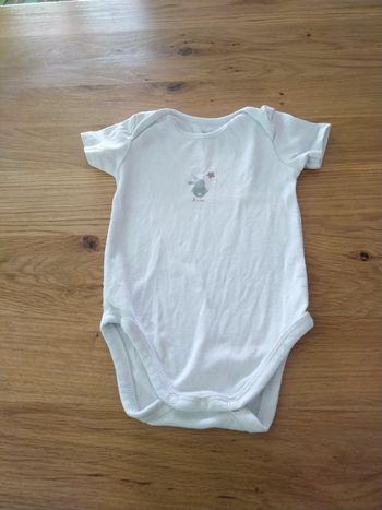 Body manche courte 12 mois