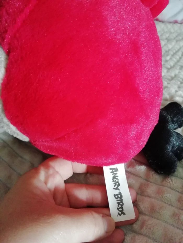 Angrybirds - photo numéro 3