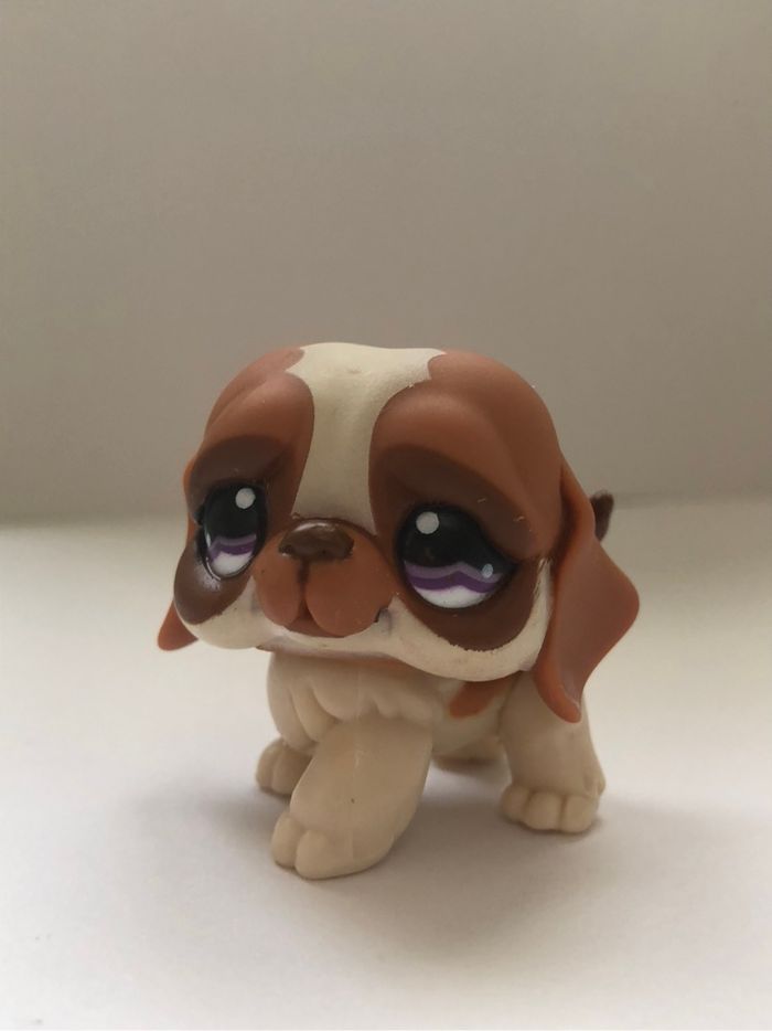 Pet shop : chien saint Bernard - photo numéro 4