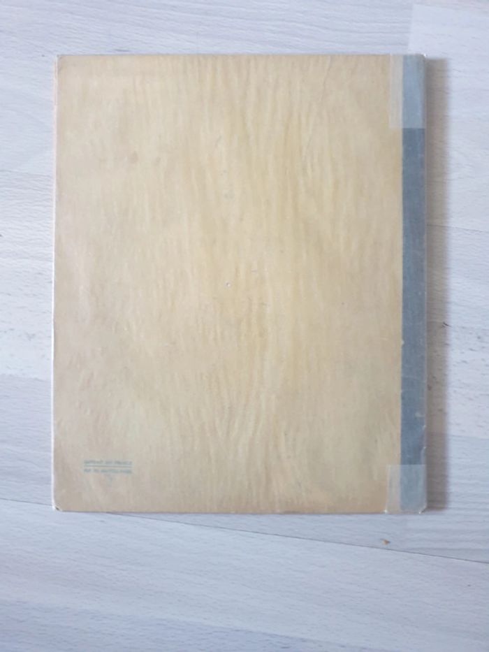 Magnifique livre mickey ancien 1935 - photo numéro 2