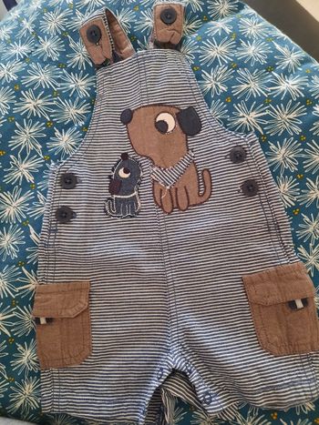 Salopette courte chiens