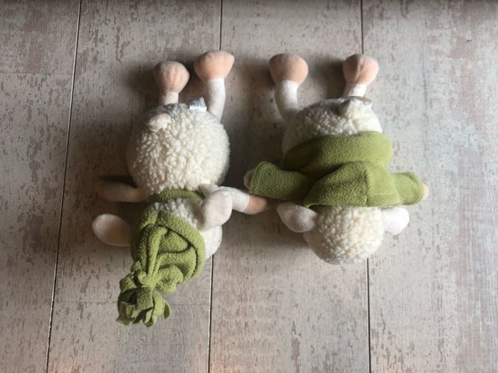 Duo mouton - photo numéro 2
