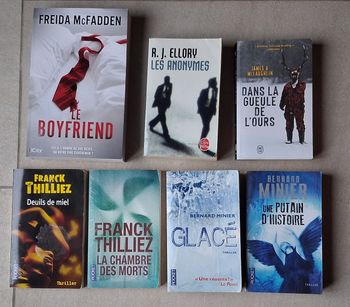 Lot de 7 Thrillers dont Le Boyfriend de Freida McFadden