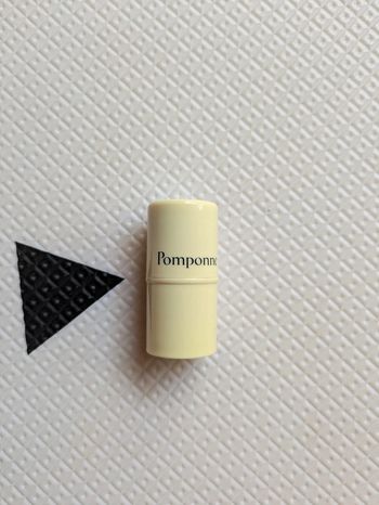 Pomponne le fantastick