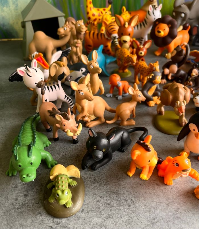 Animaux Atlas - photo numéro 5