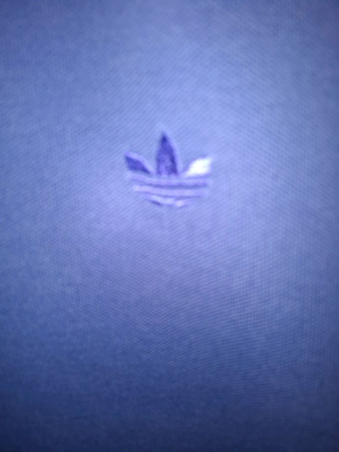 Polo L - photo numéro 2