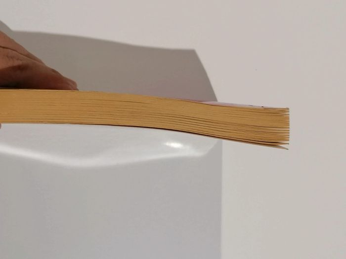 Livre pocket (mes amies, mes amours, mais encore ?) - photo numéro 8