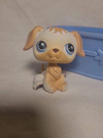 chien petshop aimanté