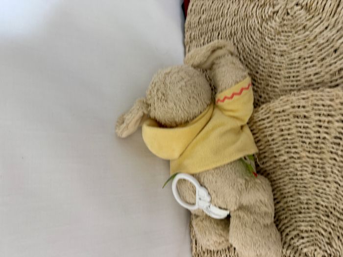 Doudou musical chien sweat capuche jaune NICOTOY - photo numéro 5