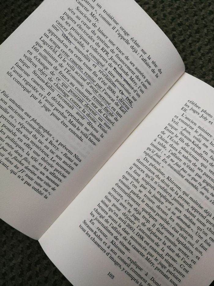 Les Strauss-Kahn, éditions Albin Michel - photo numéro 2