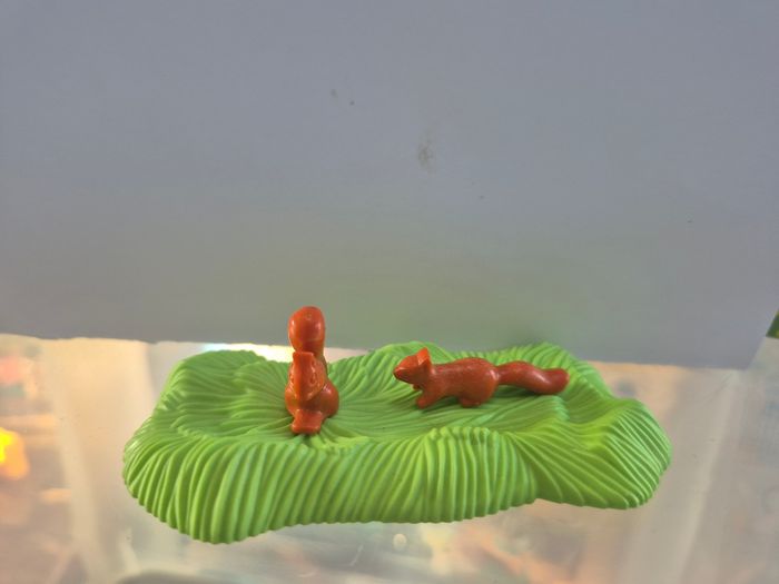 Playmobil  Écureuils