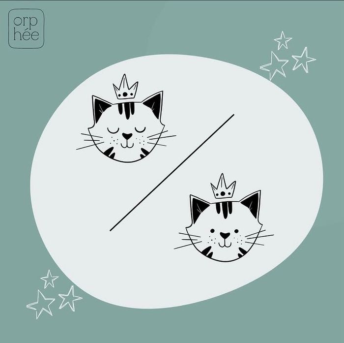 Réveil pédagogique Orphée - photo numéro 4