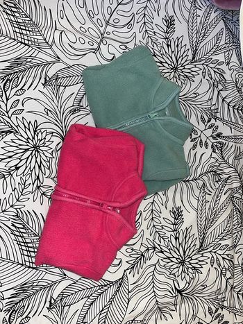 Lot de 2 gilets polaires 12 mois 74cm