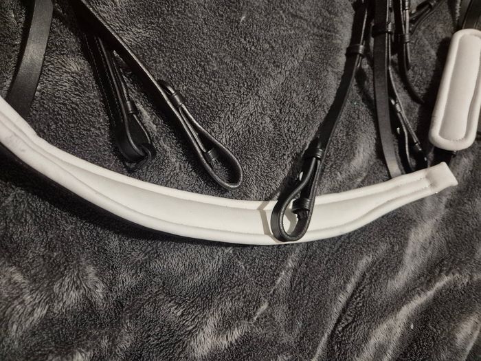 Double Bride dressage kavalkade - photo numéro 8