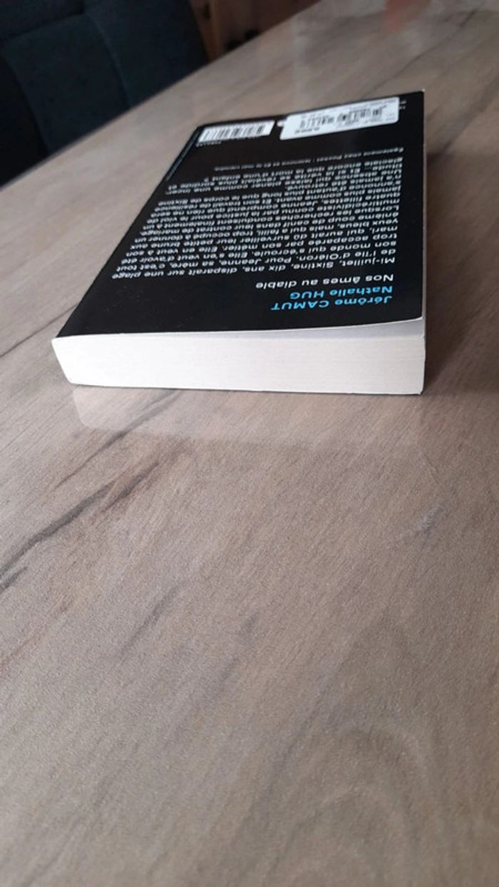 Nos âmes au Diable - Jérôme Camut - photo numéro 5