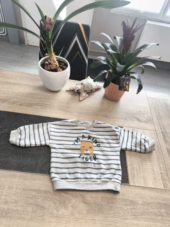 Sweat épais chaud garçon 12 mois La Redoute