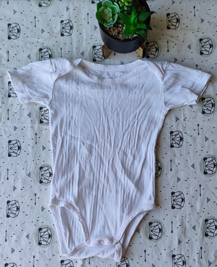 Lot de bodies MC taille 18 mois - photo numéro 6