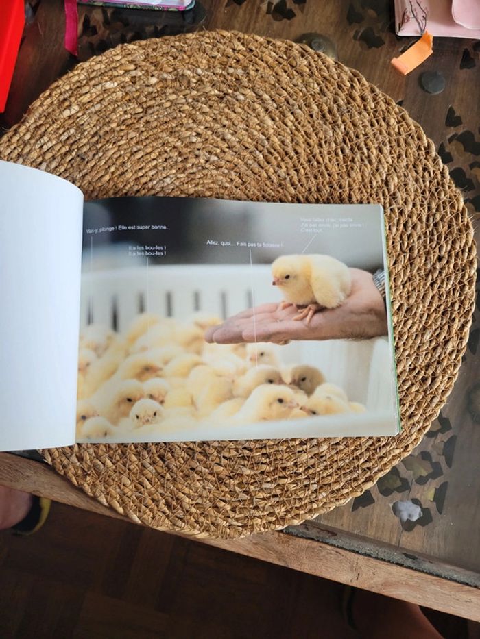 L humour est dans le pré - photo numéro 5