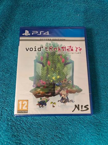 PS4 Void terrarium 2