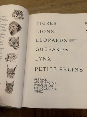 Grand livre magnifique encyclopédique Les félins Robert Dallet croquis illustrations
