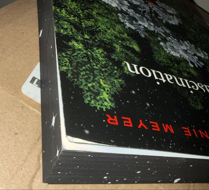 Livre Twilight - photo numéro 3