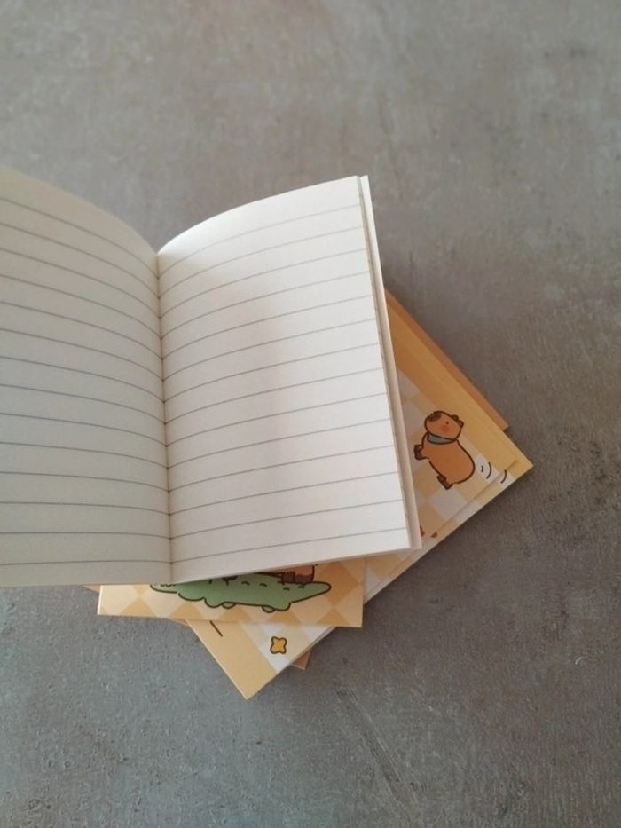 Fourniture scolaire : lot 6 petits cahiers Capybara - photo numéro 6
