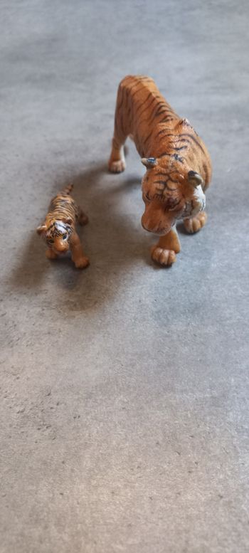 Tigre et son petit papo