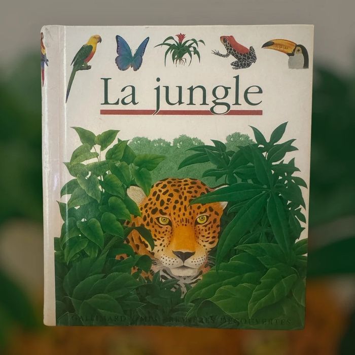Livre la jungle