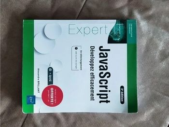 JavaScript développez efficacement 3e édition  7622042547
