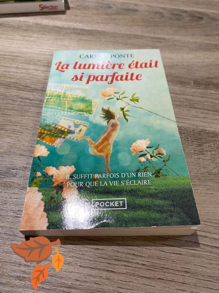 Carine Ponte - La lumière était si parfaite