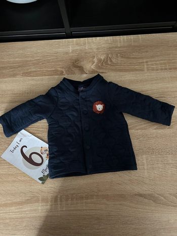 Veste