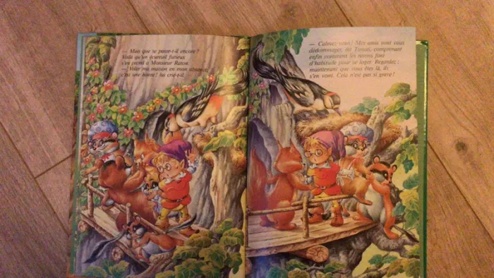 Livre le petit lutin chez les ratons - photo numéro 4