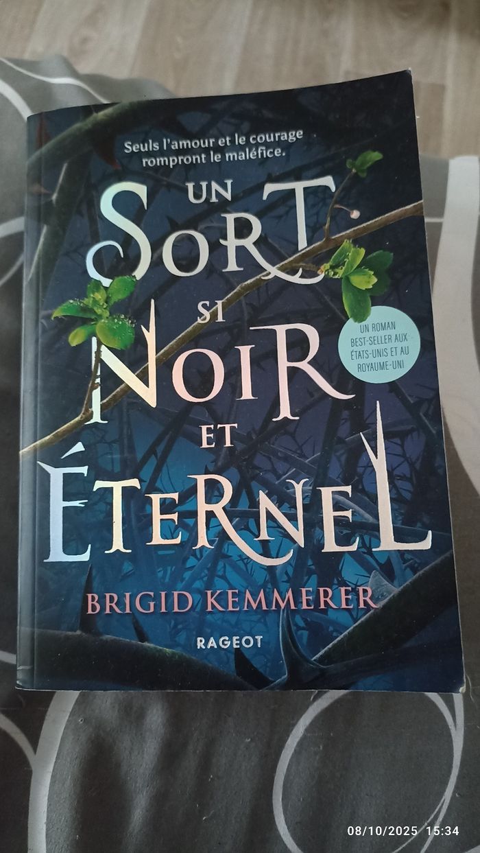 Roman Un sort si noir et eternel