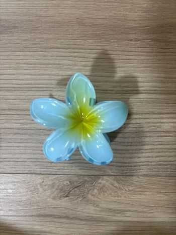 Grosse pince fleur