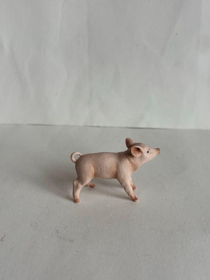 Porcelet papo - photo numéro 2