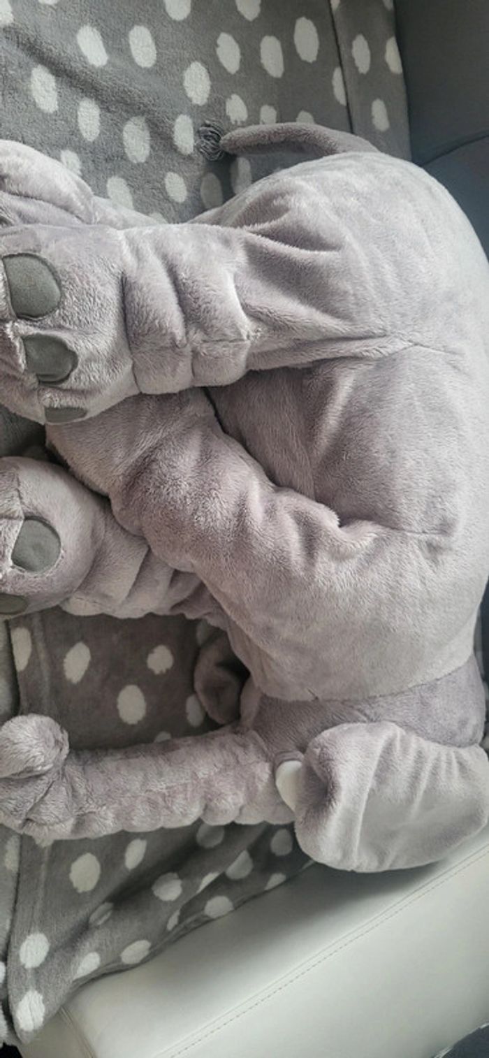 Gros éléphant - photo numéro 5