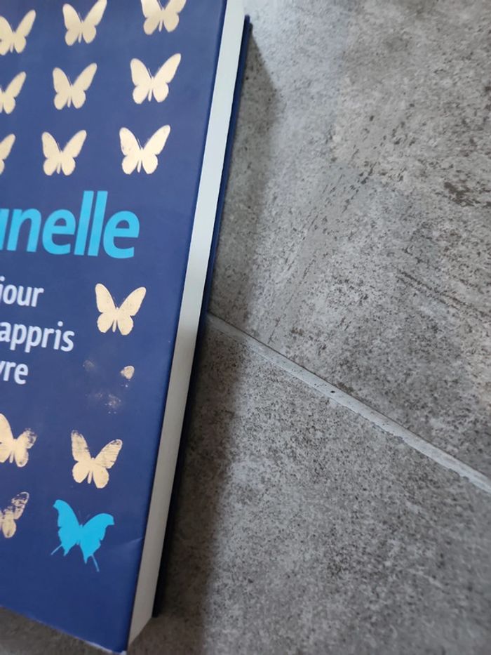 Livre : le jour ou j'ai appris a vivre - photo numéro 3