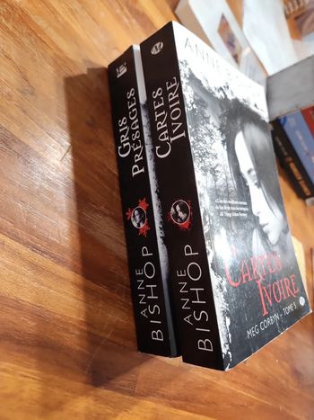 Lot de 2 livres : Carte ivoire et Gris présages