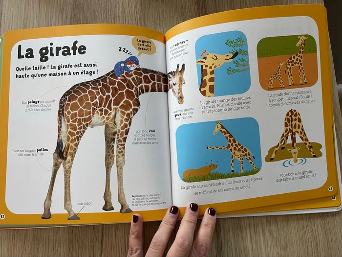 Dokéo - Mon livre des animaux 2/5 ans - photo numéro 3