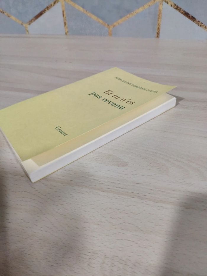 Livre Et tu n'es pas revenu Loridan Ivens - photo numéro 4
