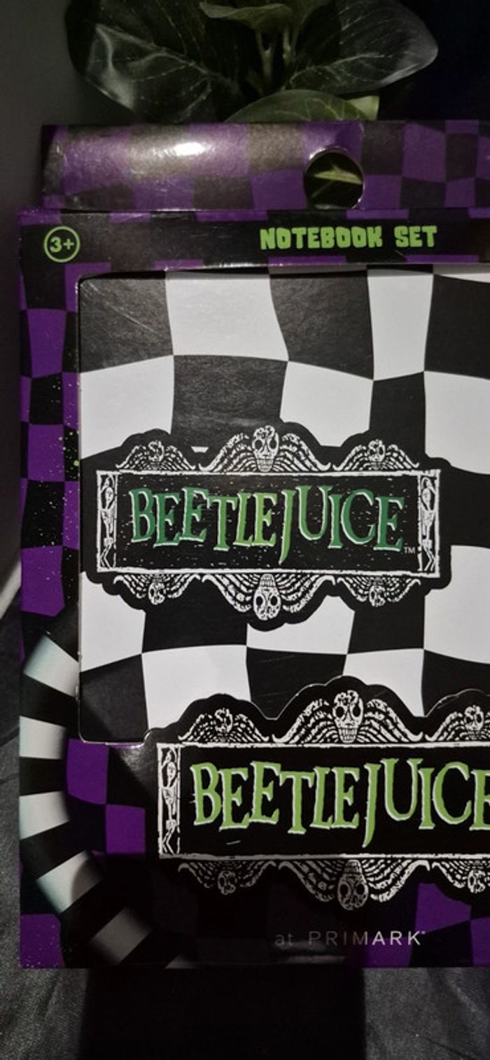 Cahier er stylo beetlejuice - photo numéro 2