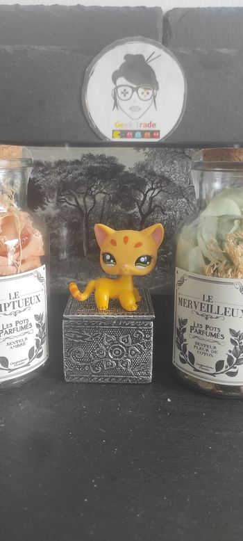 Littlest Petshop Pet Shop LPS Authentic  Authentique cat Shorthair European 1377