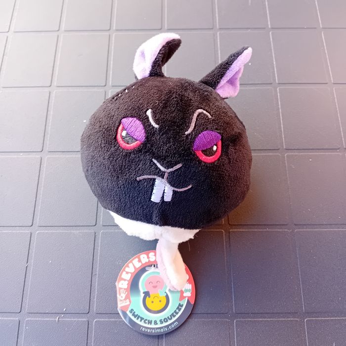 Lapin - photo numéro 2