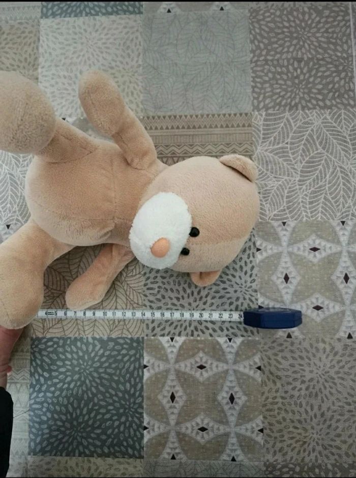 nounours - photo numéro 5